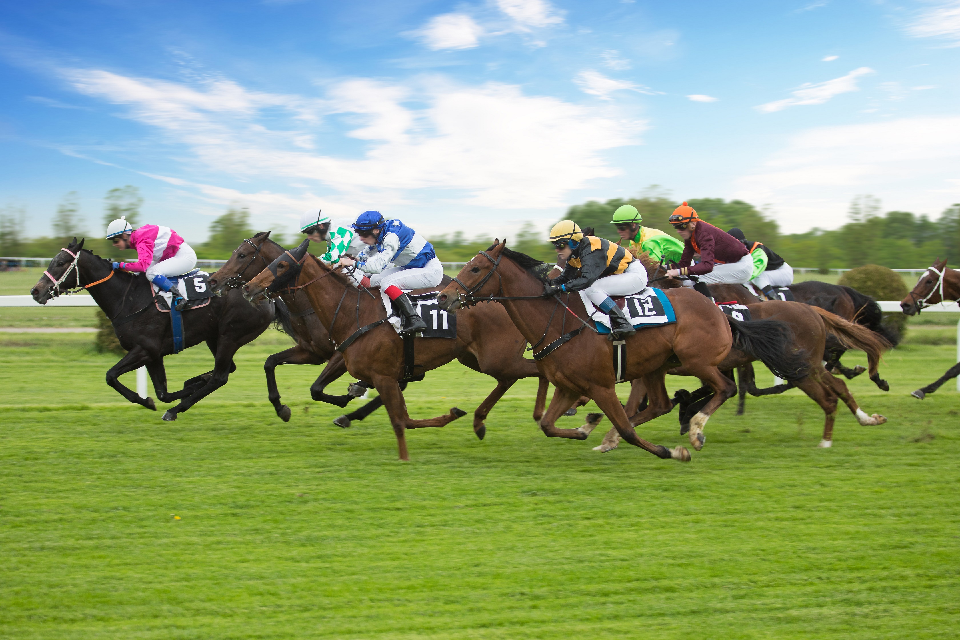 Gats And Co Couldn t Tempt Warren But It Might Interest Punters At The Welsh Grand National 