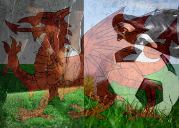 Warren Gatland And Craig Bellamy . . . Wales Coaches At Opposite Ends Of The Sporting Spectrum