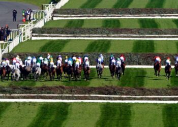 The Grand National field seen from above as the horses gallop between the spruce fences at Aintree