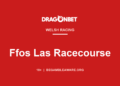 DragonBet guide card: Ffos Las Racecourse