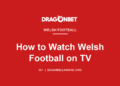 DragonBet guide card: How to watch Welsh football on TV