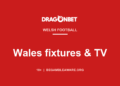 DragonBet guide card: Wales football fixtures and TV