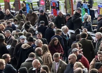  A (Not So Serious) Beginner’s Guide to the Betting Ring